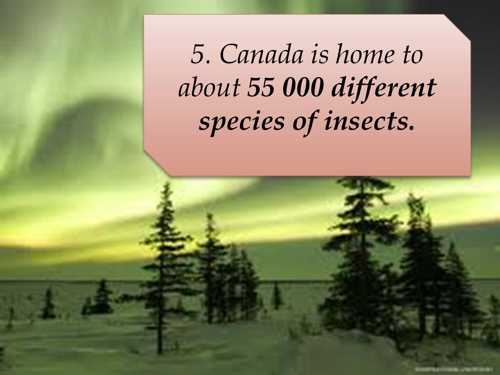 Презентація на тему «Some interesting facts about Canada» - Слайд #4