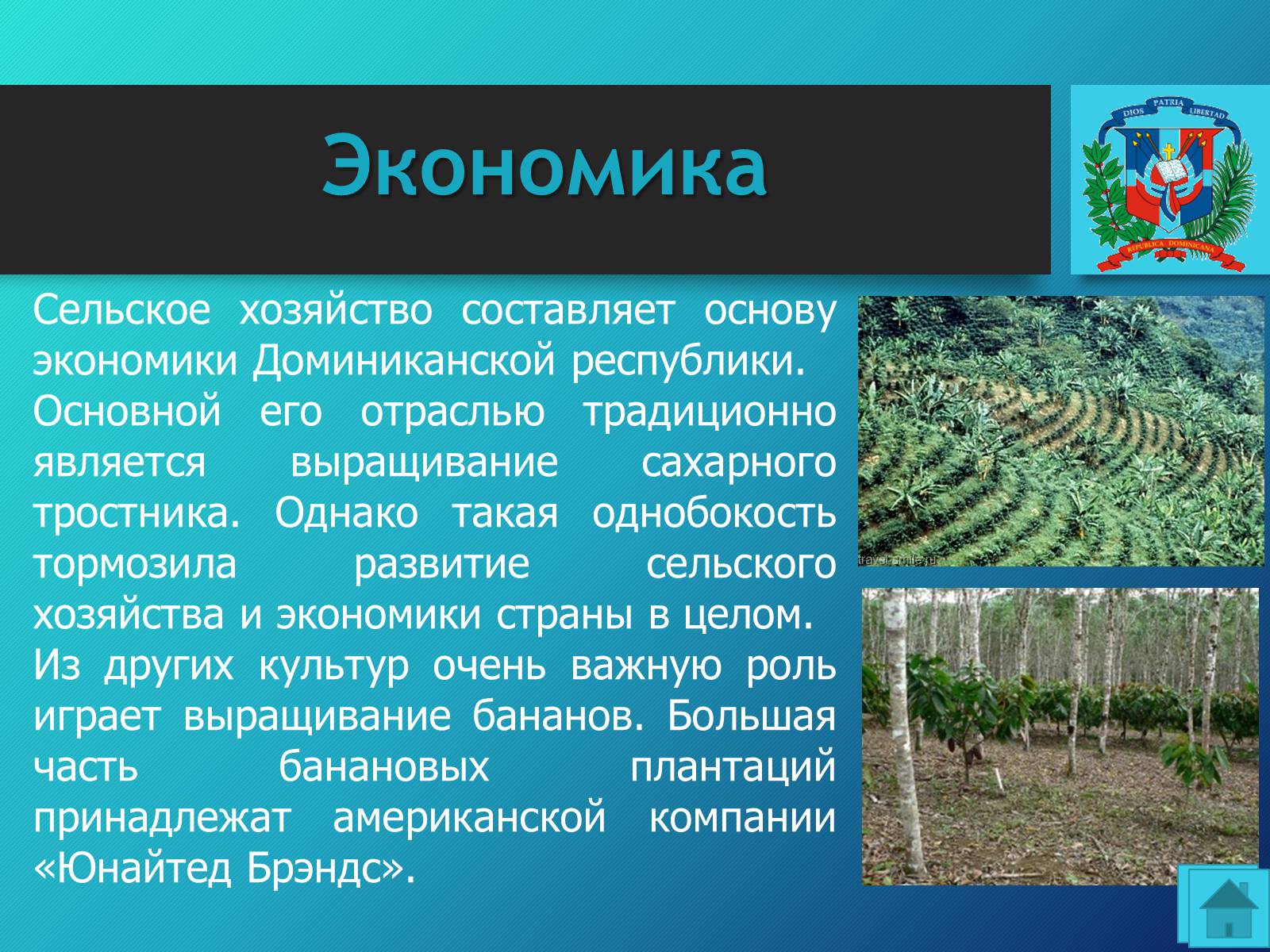 Презентація на тему «Доминиканская Республика» - Слайд #10 Презентація на тему «Доминиканская Республика» - Слайд #10