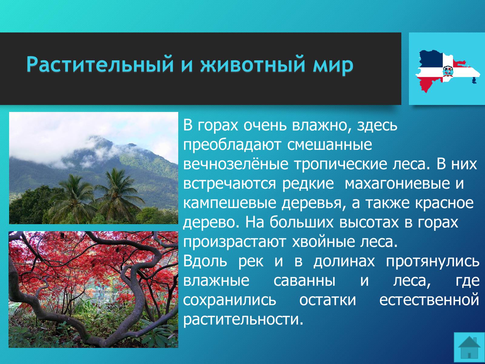 Презентація на тему «Доминиканская Республика» - Слайд #16 Презентація на тему «Доминиканская Республика» - Слайд #16