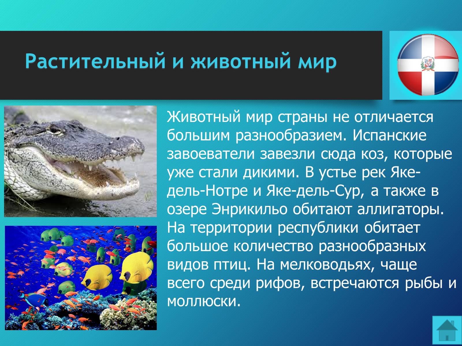 Презентація на тему «Доминиканская Республика» - Слайд #17 Презентація на тему «Доминиканская Республика» - Слайд #17
