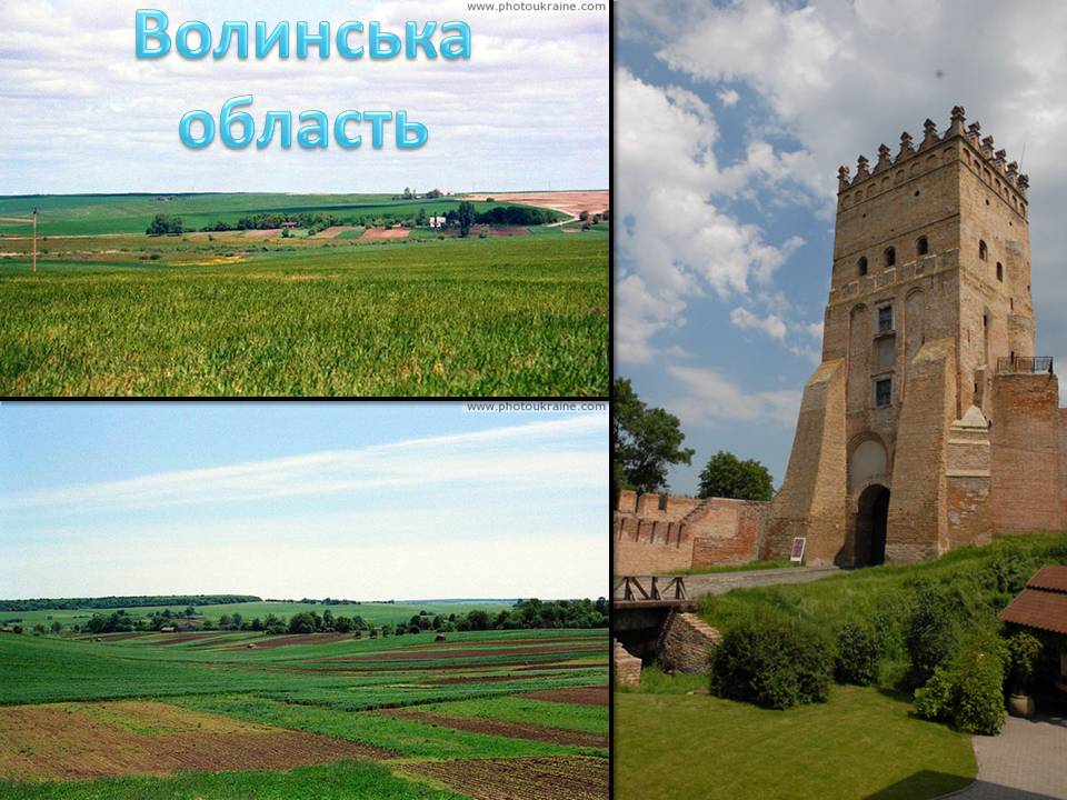Презентація на тему «Волинська область» - Слайд #1 Презентація на тему «Волинська область» - Слайд #1