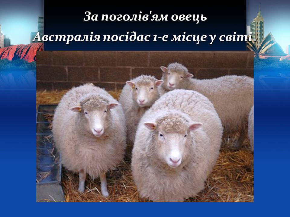 Презентація на тему «Австралія» (варіант 22) - Слайд #29 Презентація на тему «Австралія» (варіант 22) - Слайд #29