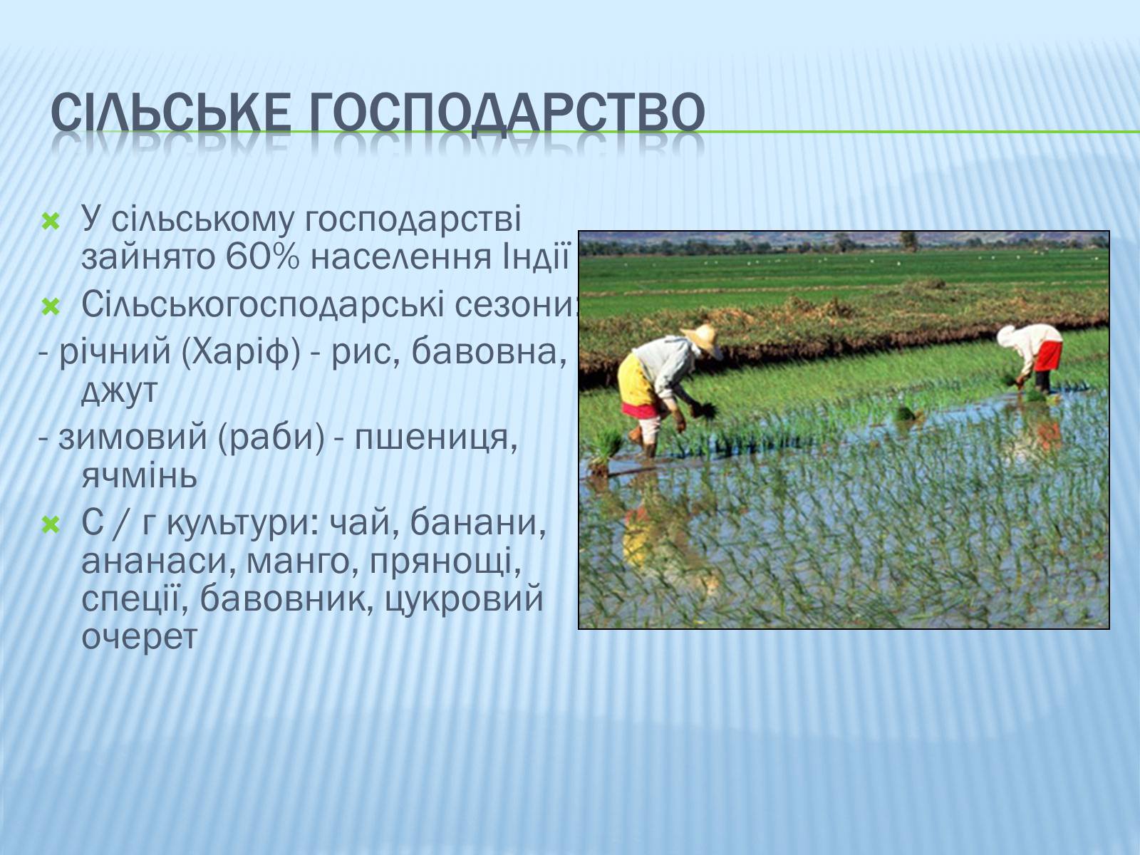 Презентація на тему «Індія» (варіант 3) - Слайд #19 Презентація на тему «Індія» (варіант 3) - Слайд #19