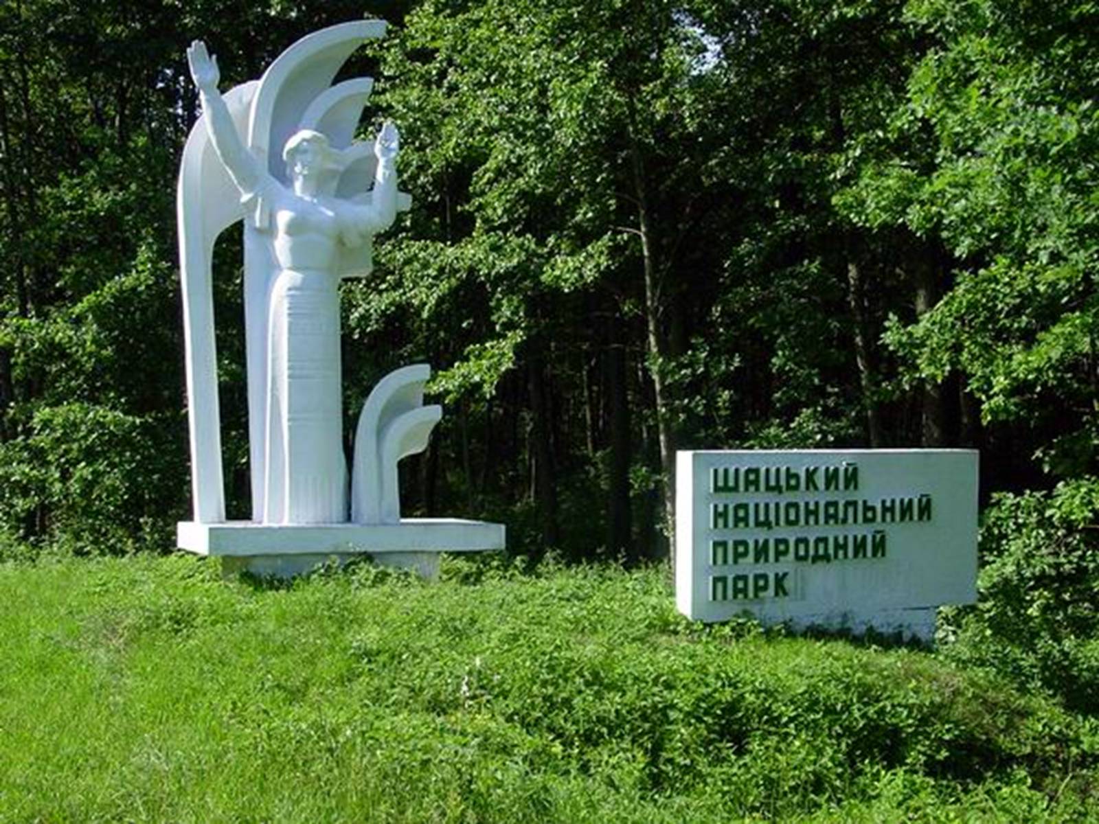 Презентація на тему «Шацький національний природний парк» (варіант 2) - Слайд #12 Презентація на тему «Шацький національний природний парк» (варіант 2) - Слайд #12