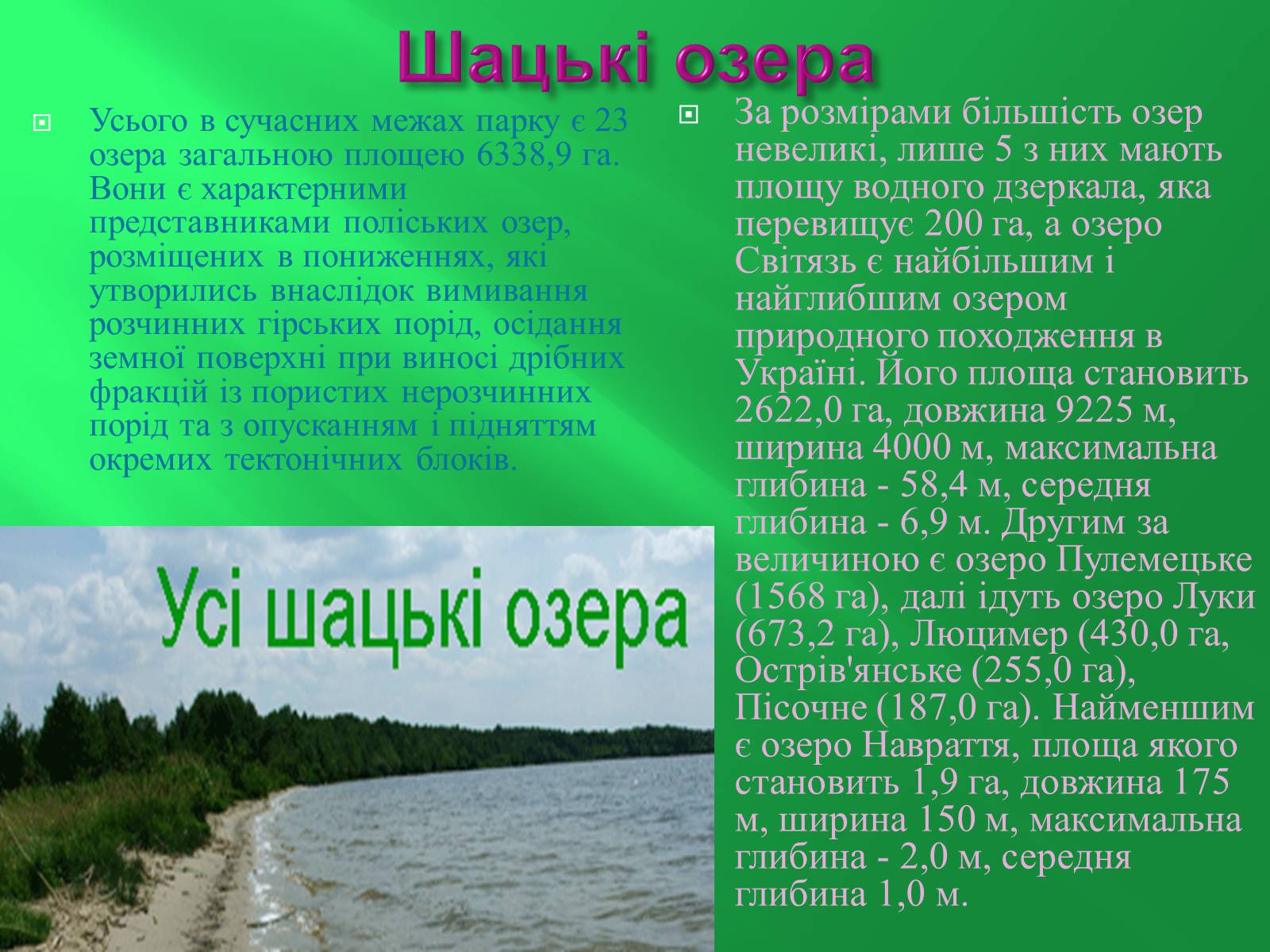 Презентація на тему «Шацький національний природний парк» (варіант 2) - Слайд #5 Презентація на тему «Шацький національний природний парк» (варіант 2) - Слайд #5