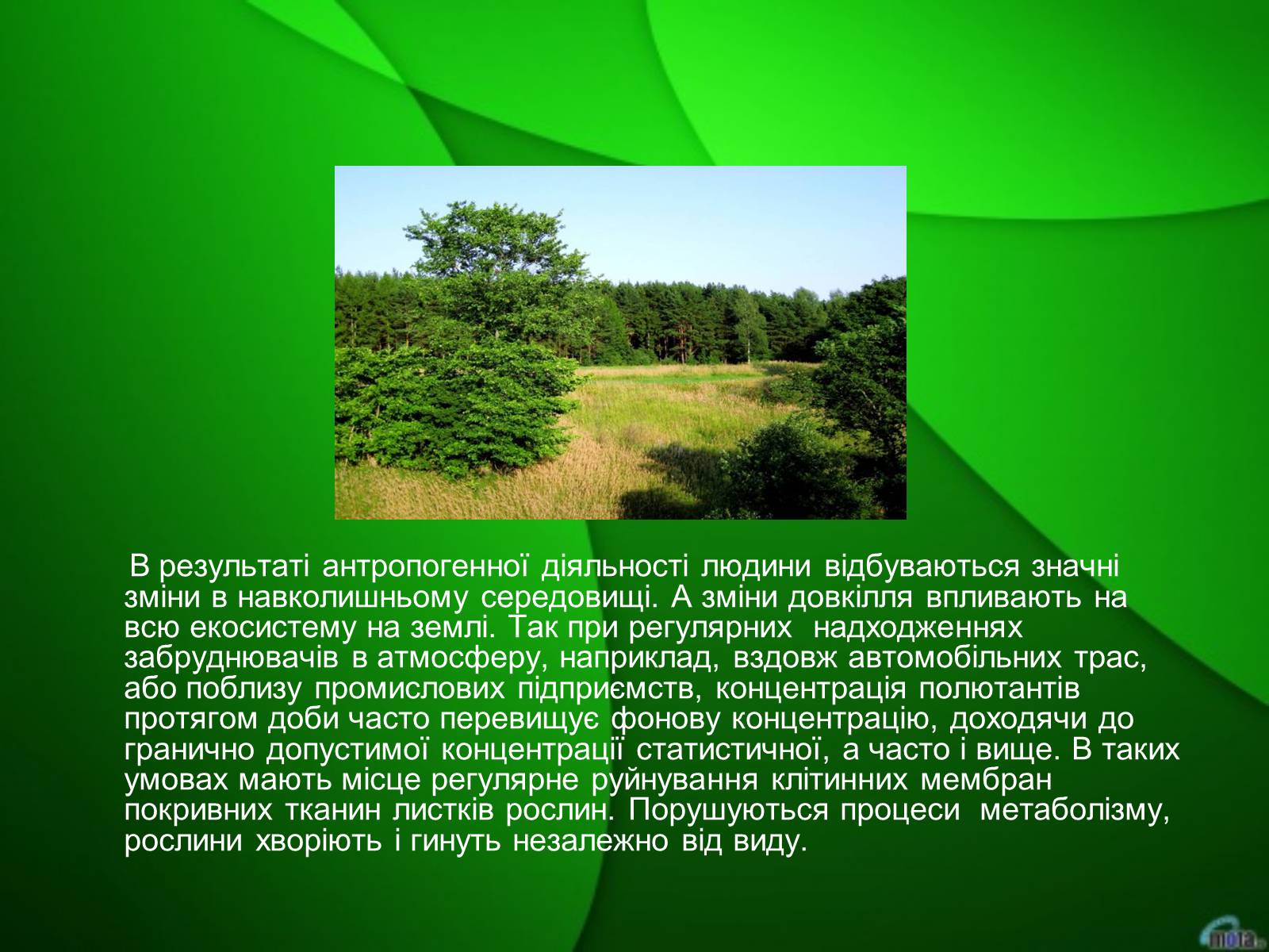 Презентація на тему «Екологічна безпека» (варіант 2) - Слайд #5 Презентація на тему «Екологічна безпека» (варіант 2) - Слайд #5