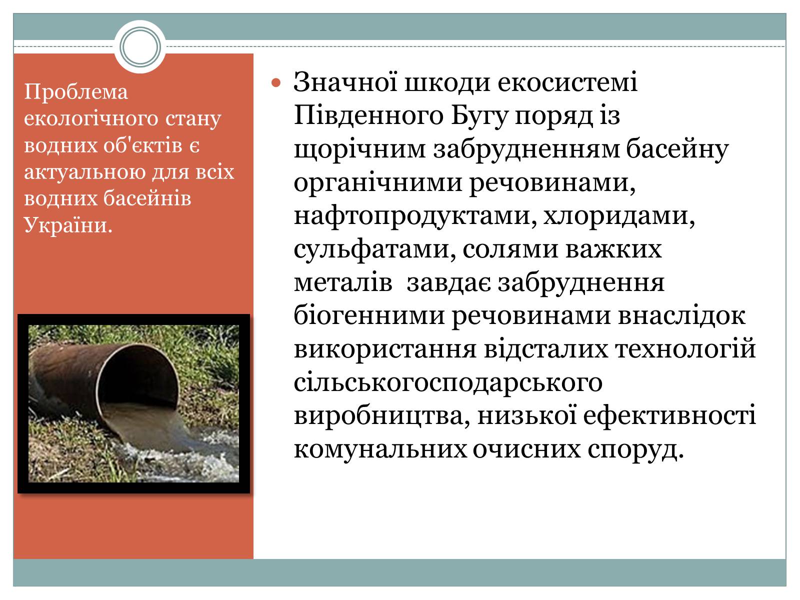 Презентація на тему «Південний Буг» - Слайд #10 Презентація на тему «Південний Буг» - Слайд #10