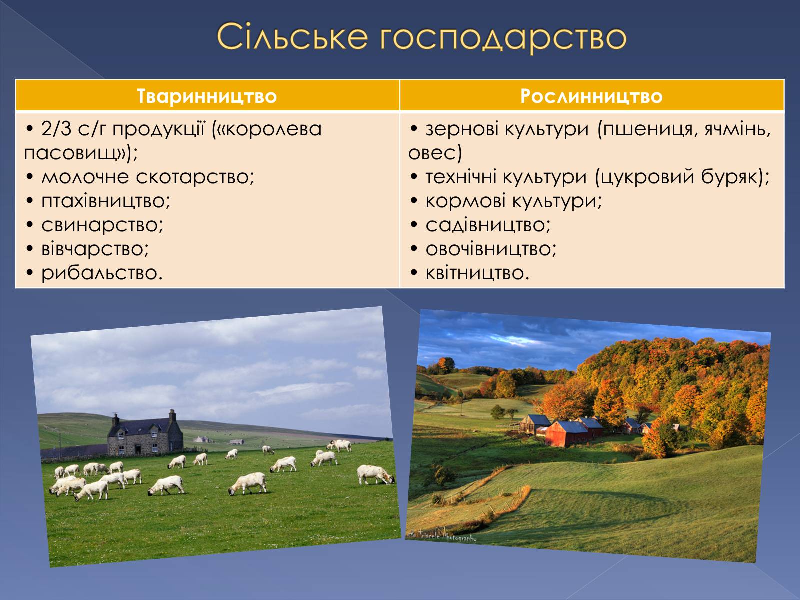 Презентація на тему «Великобританія» (варіант 5) - Слайд #17 Презентація на тему «Великобританія» (варіант 5) - Слайд #17