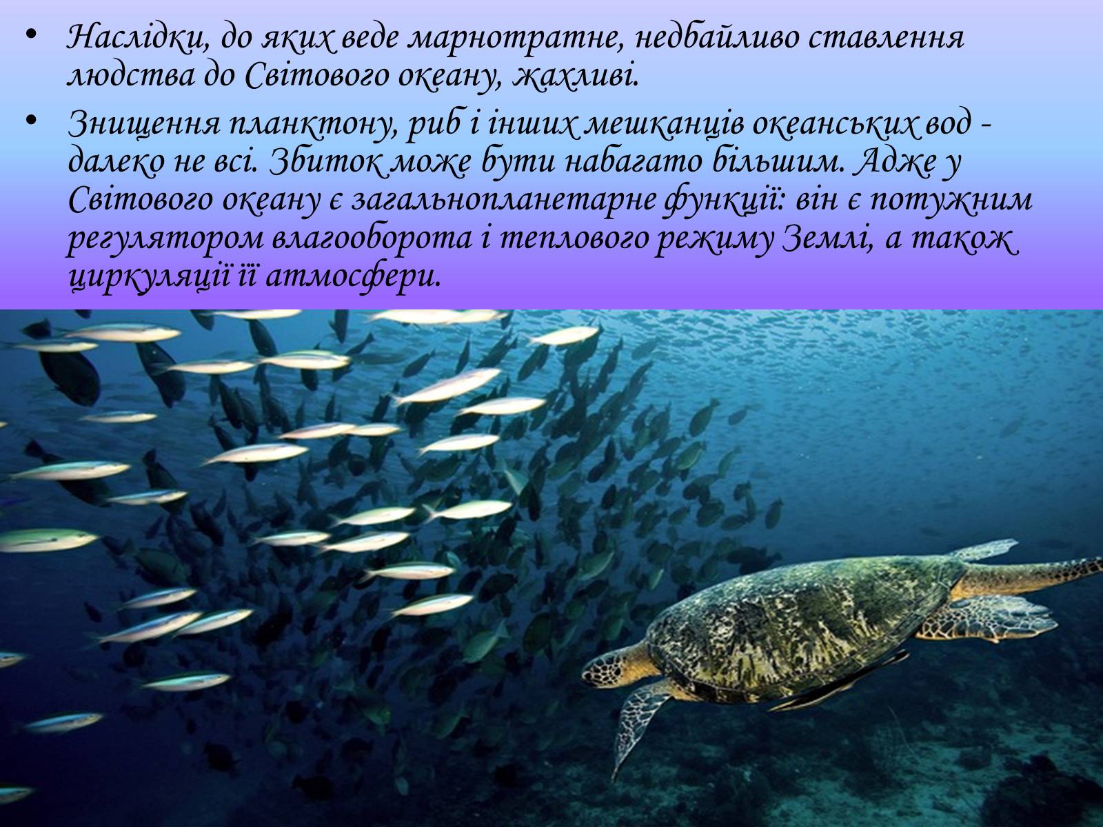 Презентація на тему «Глобальні проблеми світового океану» (варіант 1) - Слайд #13 Презентація на тему «Глобальні проблеми світового океану» (варіант 1) - Слайд #13
