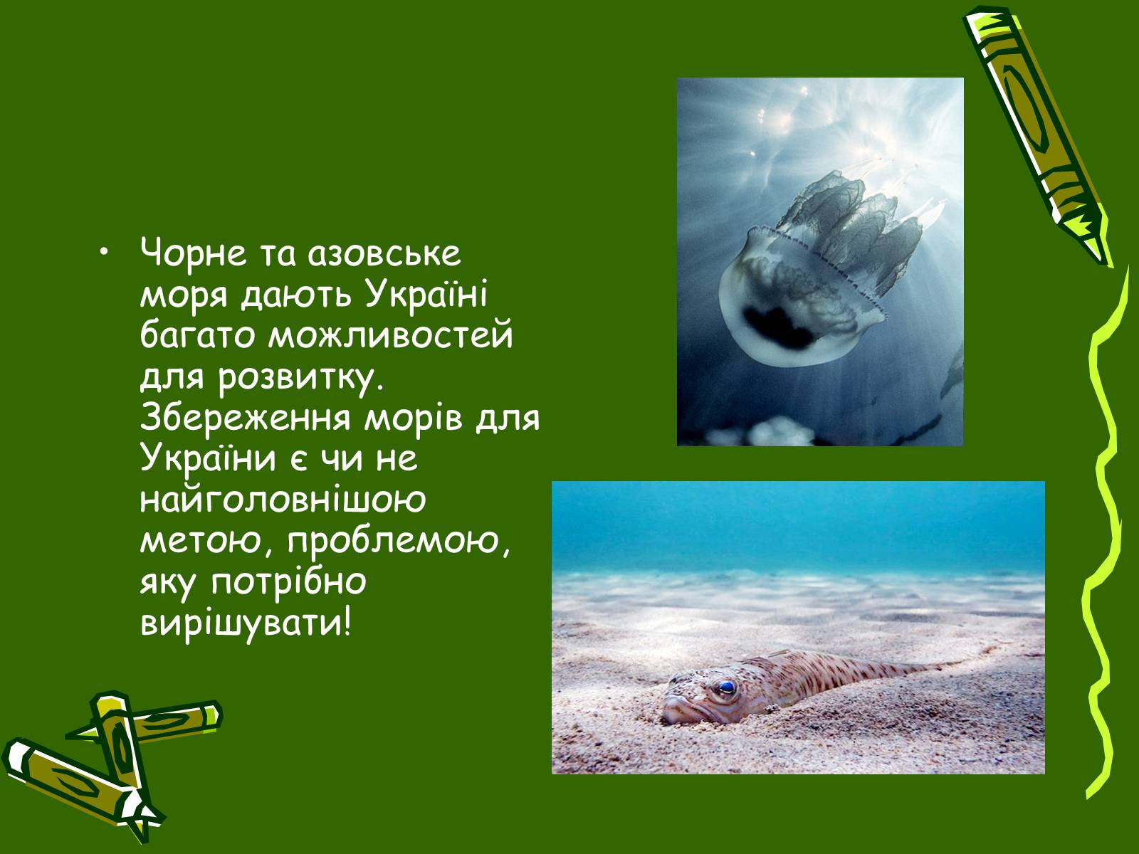 Презентація на тему «Збереження Чорного та Азовського морів» - Слайд #12 Презентація на тему «Збереження Чорного та Азовського морів» - Слайд #12