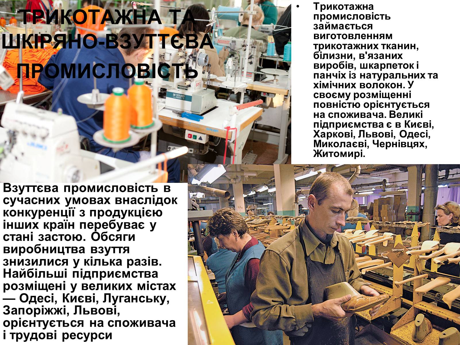 Презентація на тему «Легка промисловість» (варіант 3) - Слайд #11