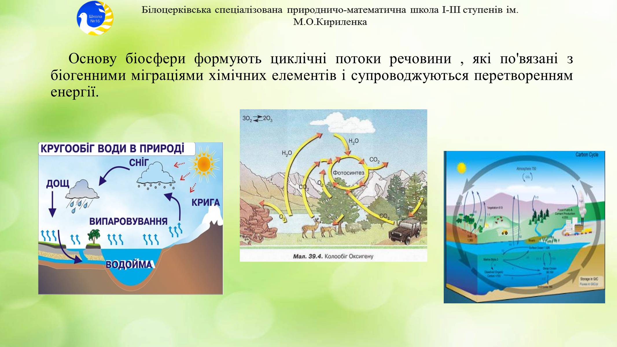 Презентація на тему «Екосистема. Біосфера» - Слайд #18 Презентація на тему «Екосистема. Біосфера» - Слайд #18