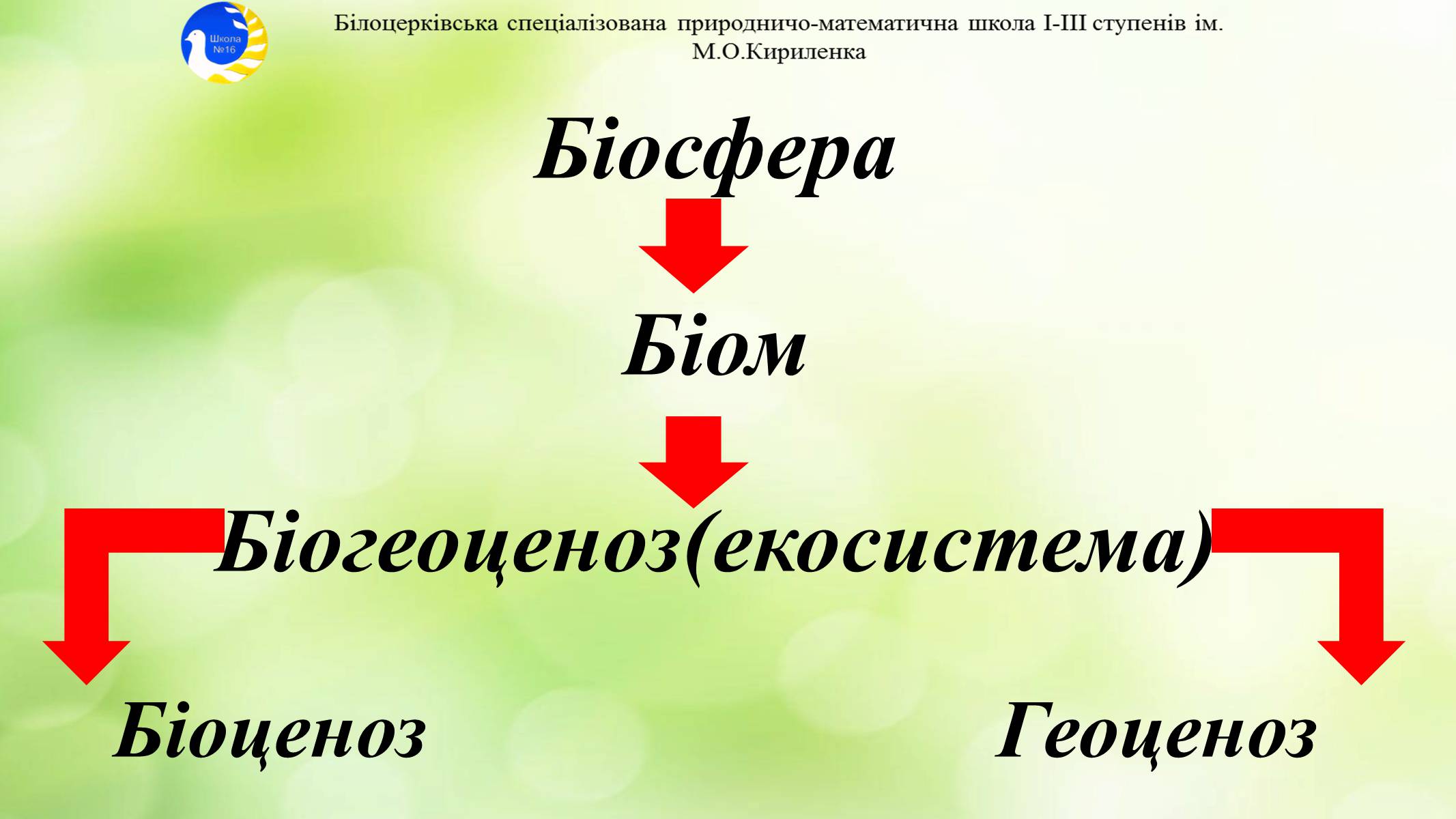 Презентація на тему «Екосистема. Біосфера» - Слайд #2 Презентація на тему «Екосистема. Біосфера» - Слайд #2