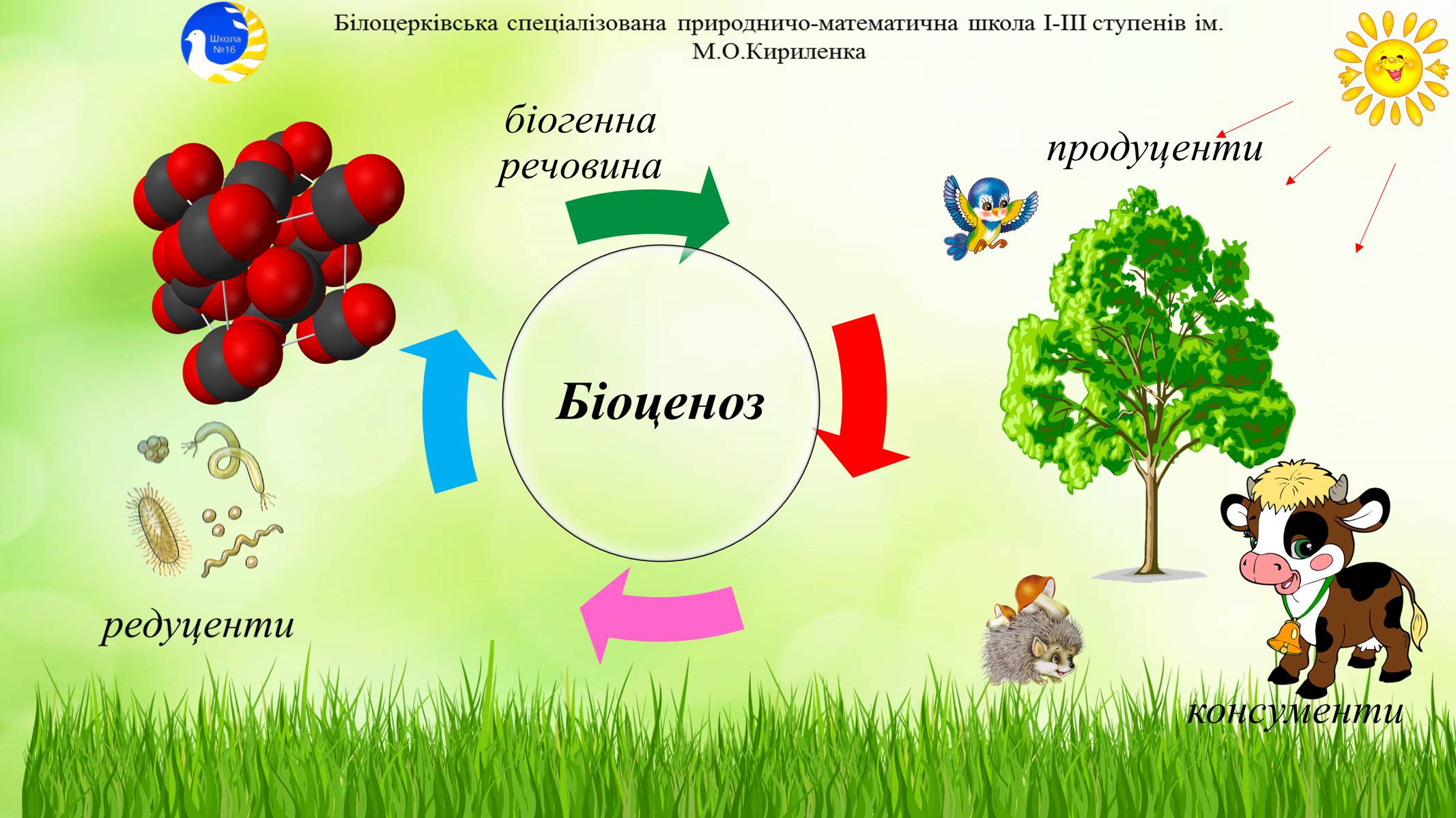 Презентація на тему «Екосистема. Біосфера» - Слайд #4 Презентація на тему «Екосистема. Біосфера» - Слайд #4