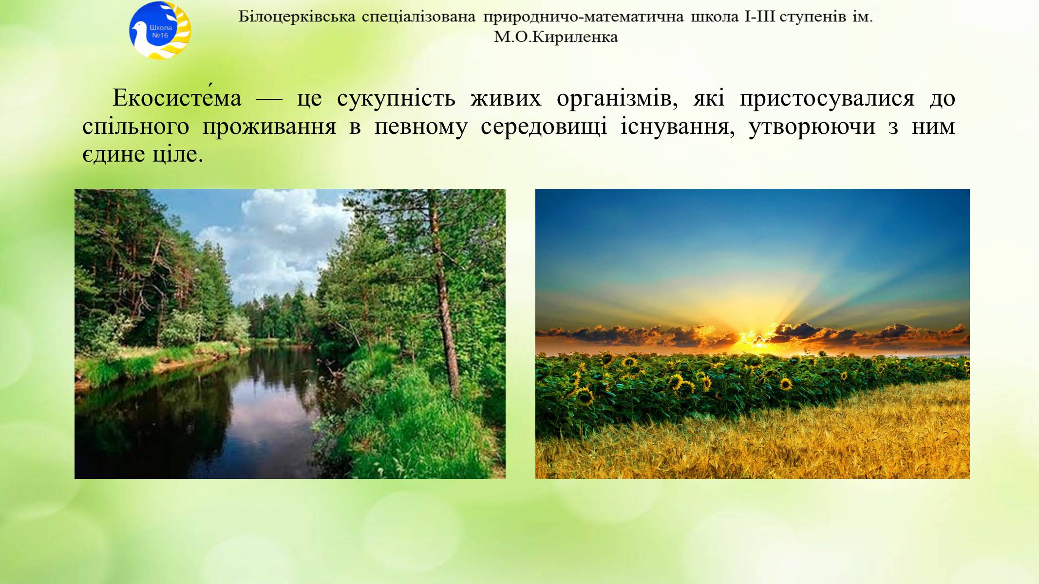 Презентація на тему «Екосистема. Біосфера» - Слайд #9 Презентація на тему «Екосистема. Біосфера» - Слайд #9