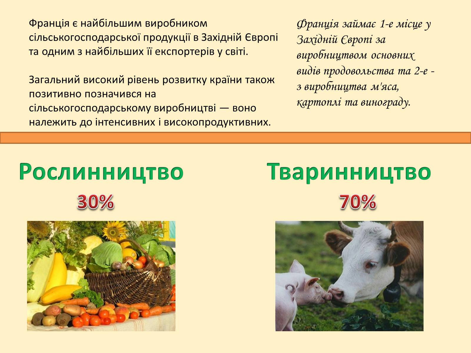 Презентація на тему «Франція» (варіант 26) - Слайд #50 Презентація на тему «Франція» (варіант 26) - Слайд #50