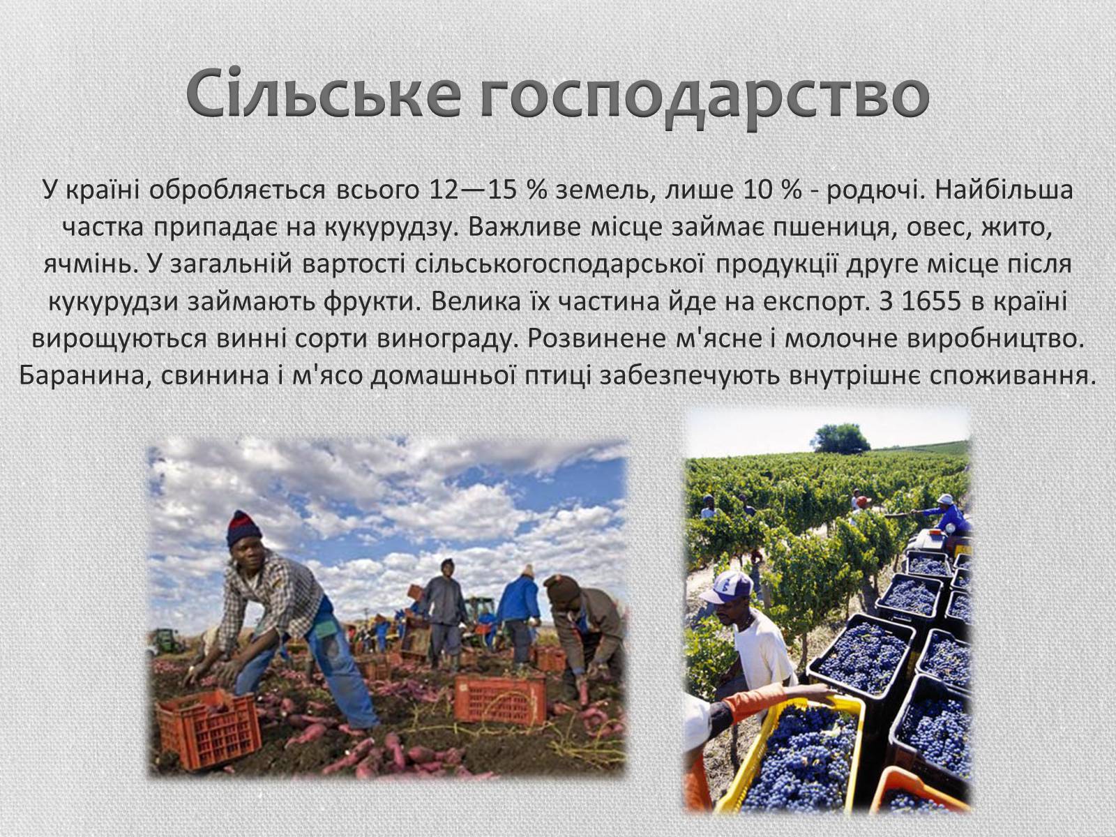 Презентація на тему «Південно-Африканська Республіка» (варіант 5) - Слайд #17 Презентація на тему «Південно-Африканська Республіка» (варіант 5) - Слайд #17