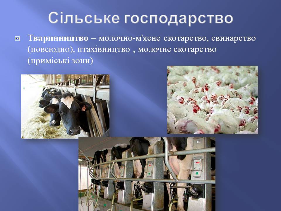 Презентація на тему «Білорусь» (варіант 8) - Слайд #15 Презентація на тему «Білорусь» (варіант 8) - Слайд #15