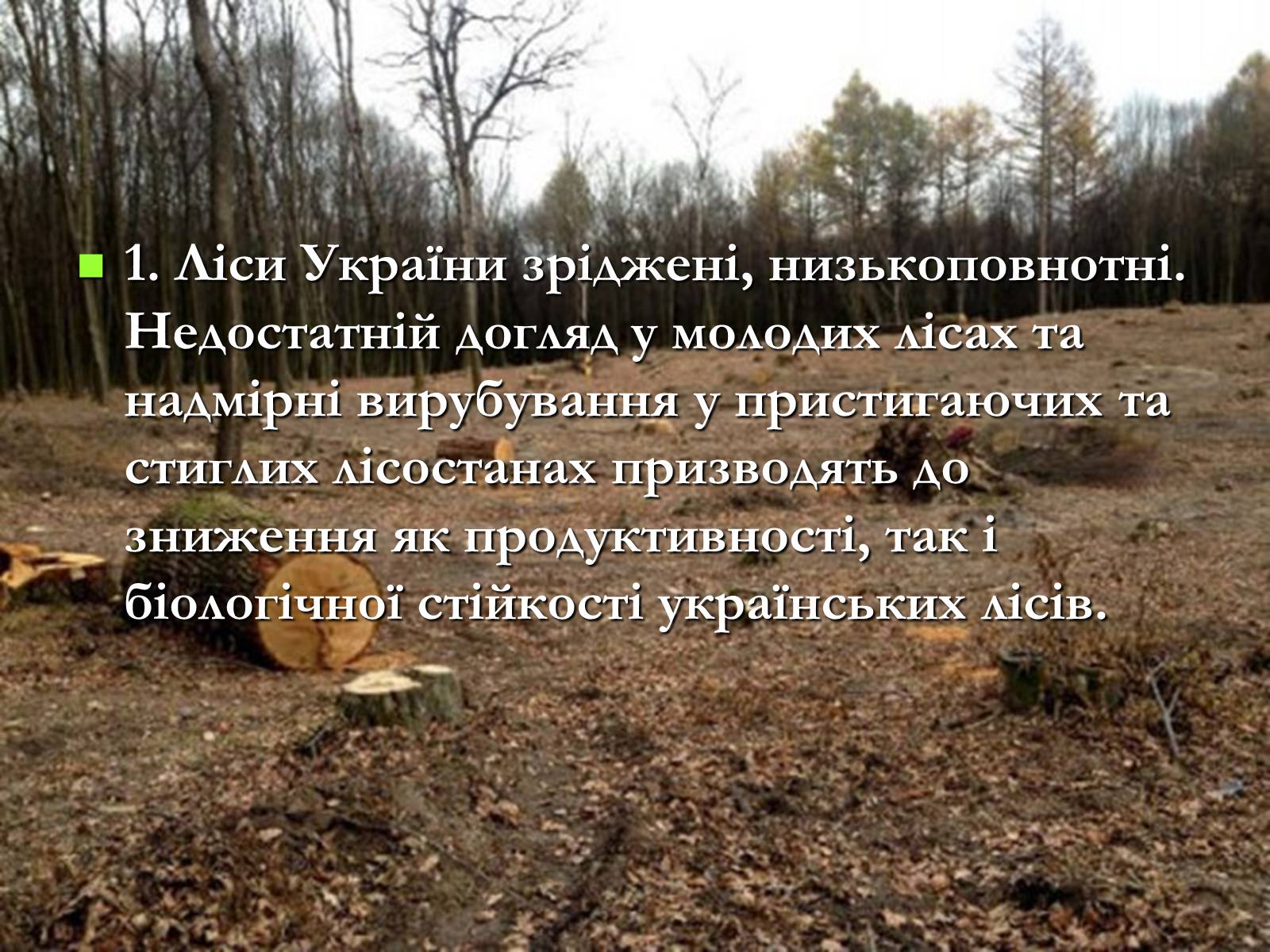 Презентація на тему «Легені землі. Проблеми збереження лісів» - Слайд #16 Презентація на тему «Легені землі. Проблеми збереження лісів» - Слайд #16