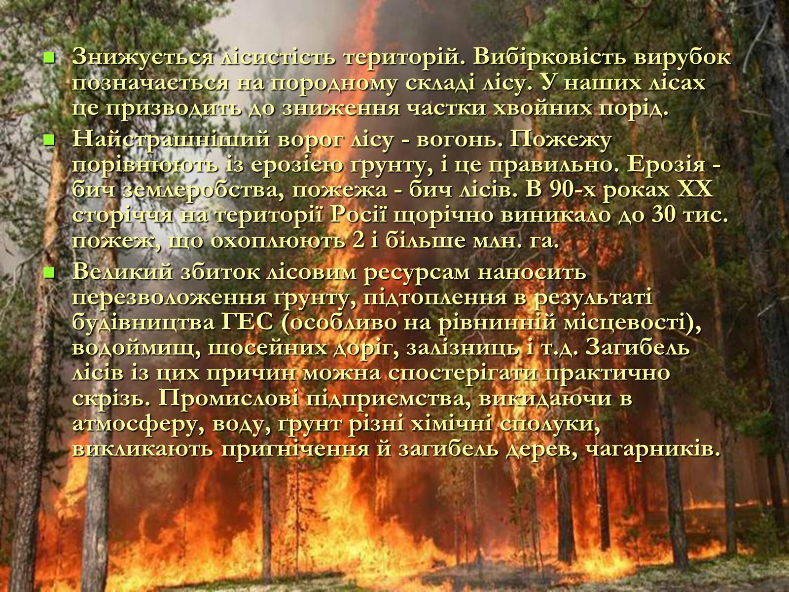 Презентація на тему «Легені землі. Проблеми збереження лісів» - Слайд #3 Презентація на тему «Легені землі. Проблеми збереження лісів» - Слайд #3