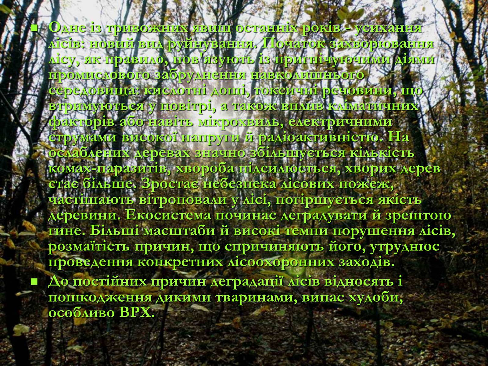 Презентація на тему «Легені землі. Проблеми збереження лісів» - Слайд #5 Презентація на тему «Легені землі. Проблеми збереження лісів» - Слайд #5