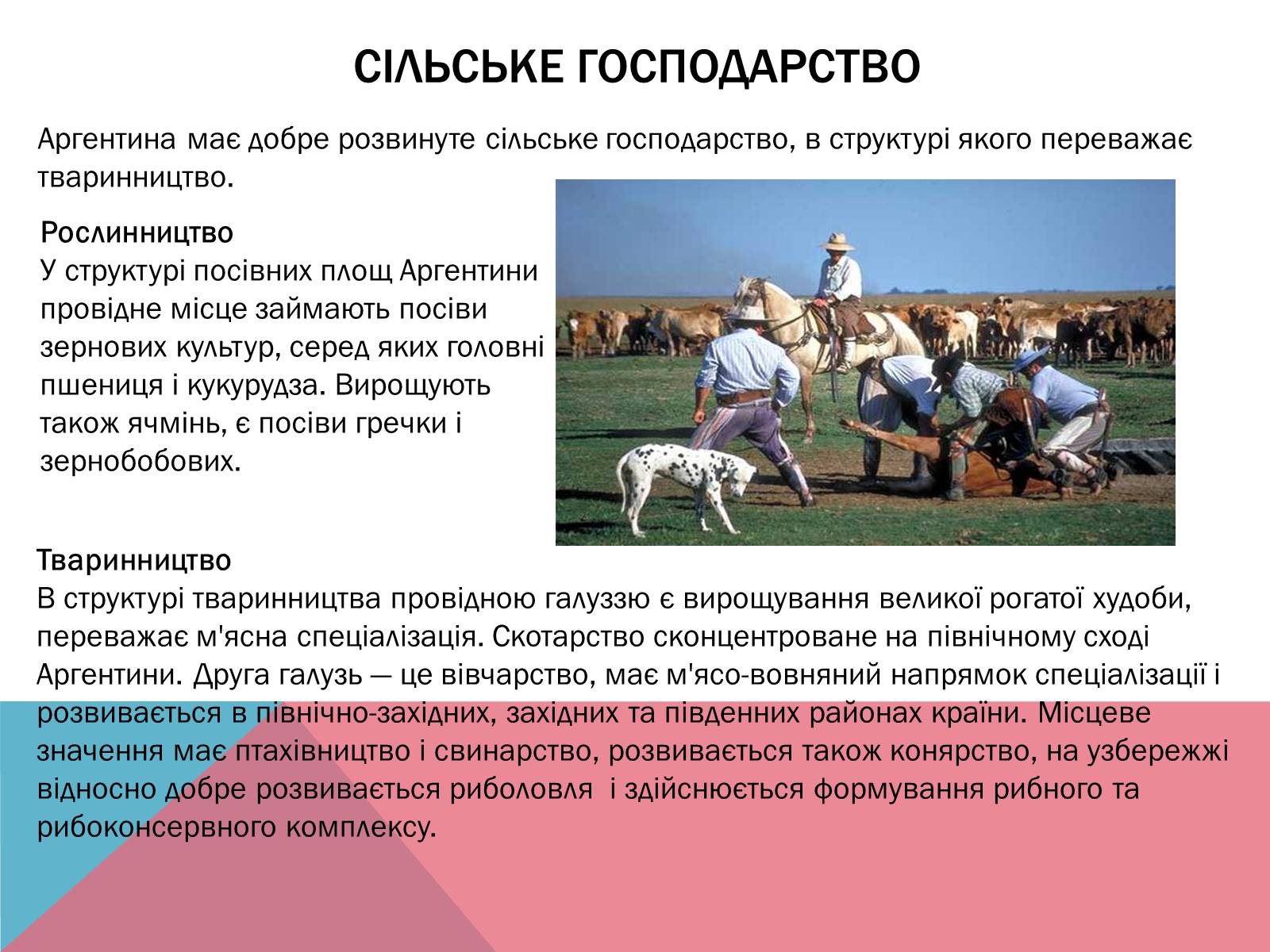 Презентація на тему «Аргентина» (варіант 5) - Слайд #19 Презентація на тему «Аргентина» (варіант 5) - Слайд #19