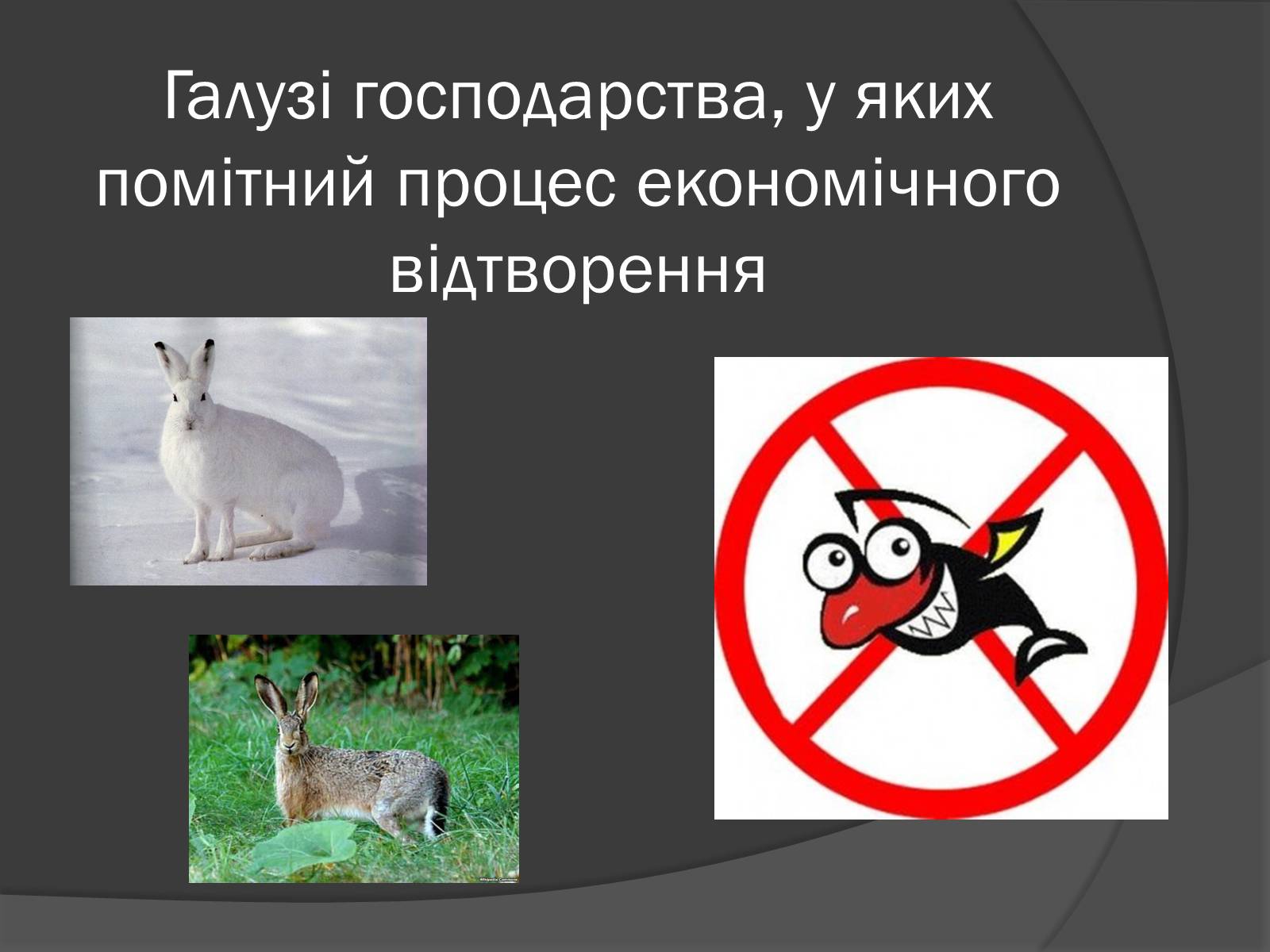 Презентація на тему «Загальні закономірності географічної оболонки. Ритмічність» - Слайд #15 Презентація на тему «Загальні закономірності географічної оболонки. Ритмічність» - Слайд #15