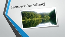 Презентація на тему «Розточчя (заповідник)»