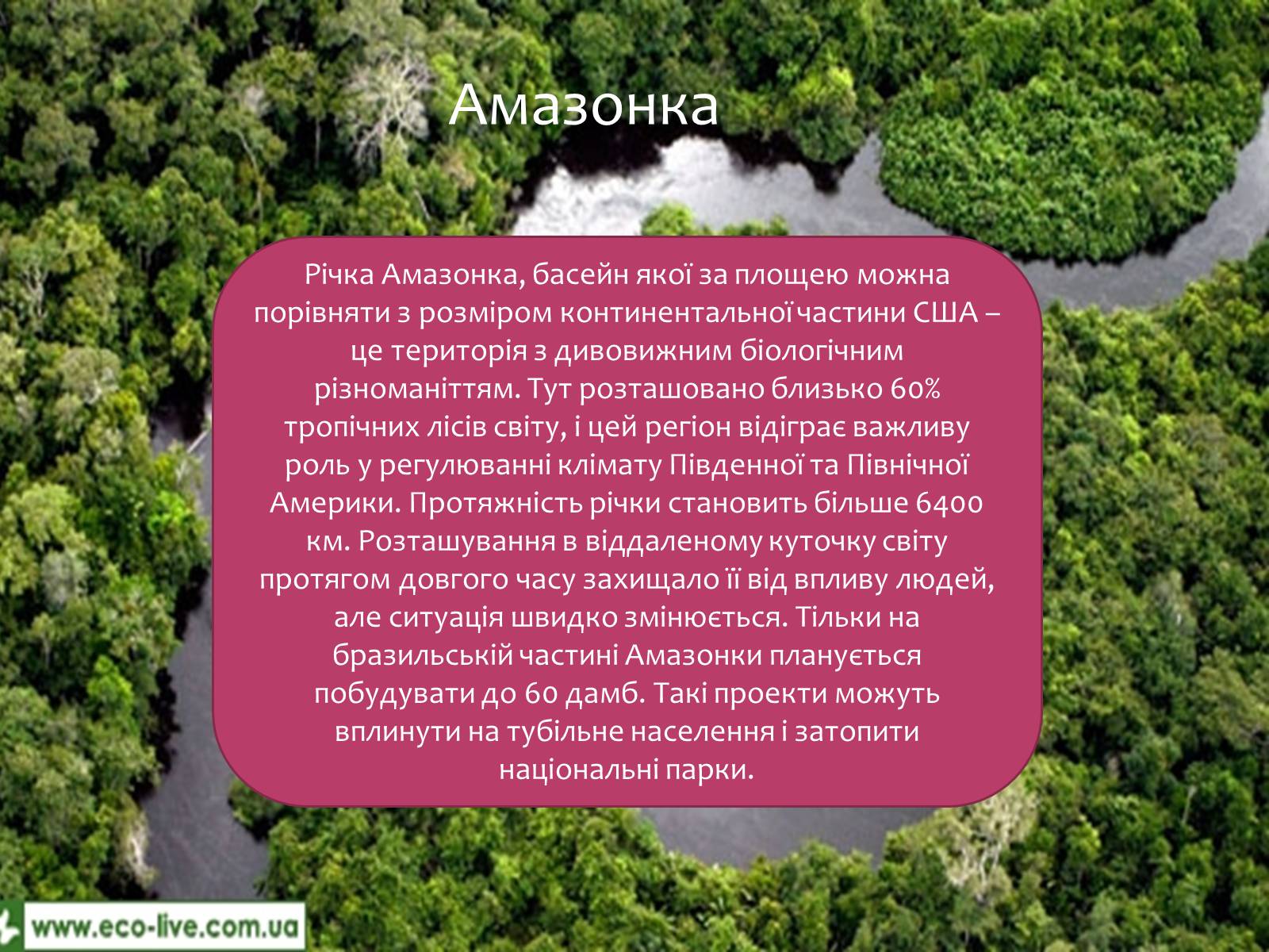 Презентація на тему «Річки світу» - Слайд #6 Презентація на тему «Річки світу» - Слайд #6