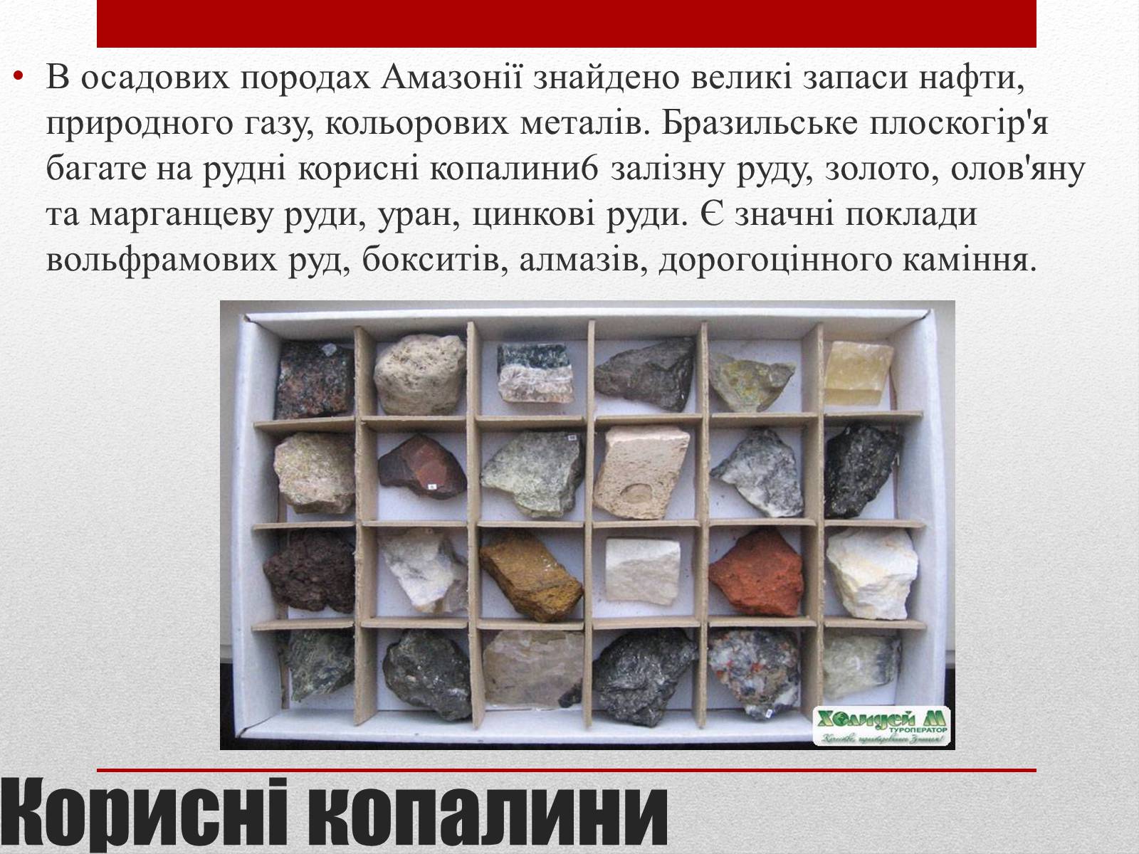 Презентація на тему «Бразилія» (варіант 6) - Слайд #9 Презентація на тему «Бразилія» (варіант 6) - Слайд #9
