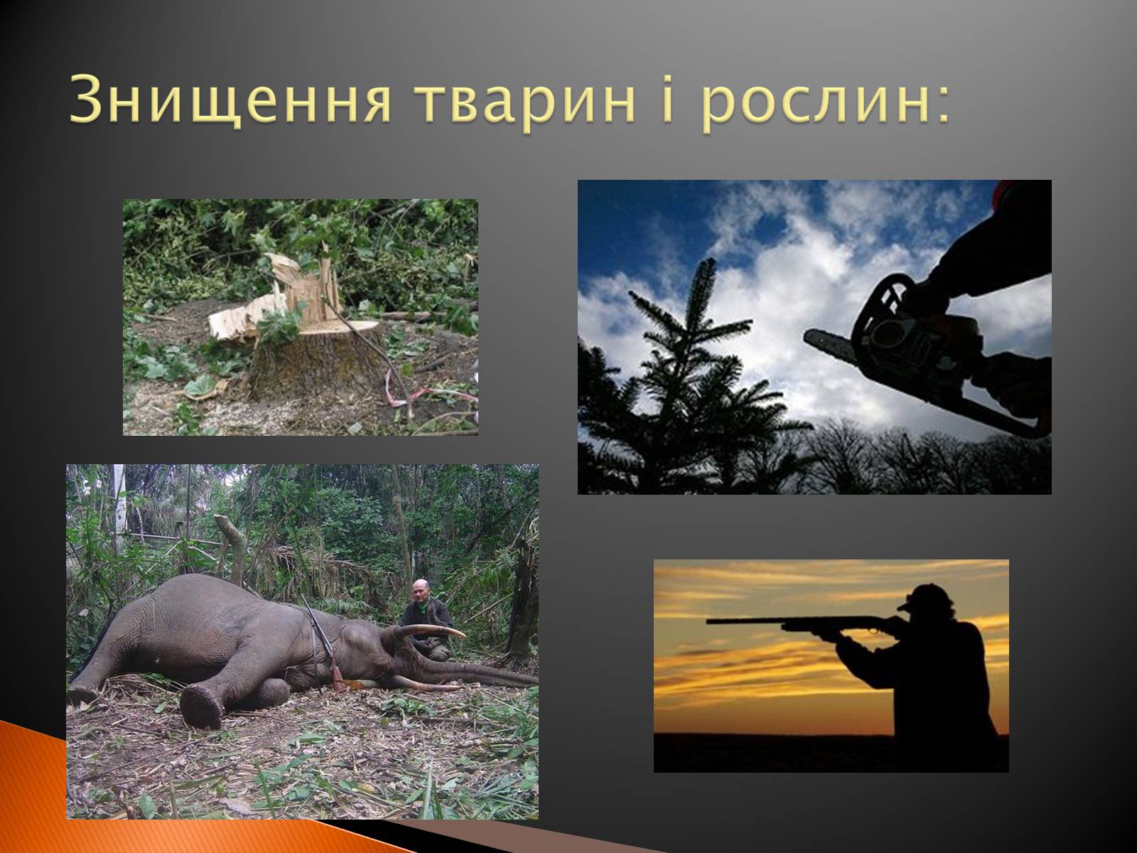 Презентація на тему «Глобальні проблеми людства» (варіант 2) - Слайд #19 Презентація на тему «Глобальні проблеми людства» (варіант 2) - Слайд #19