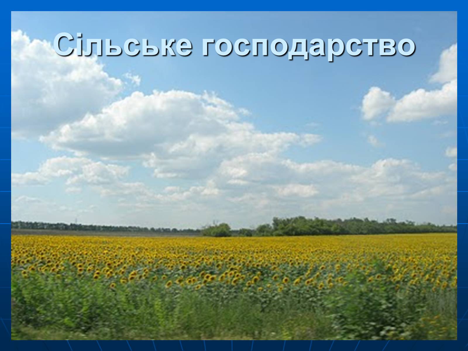 Презентація на тему «Сільське господарство» - Слайд #1 Презентація на тему «Сільське господарство» - Слайд #1