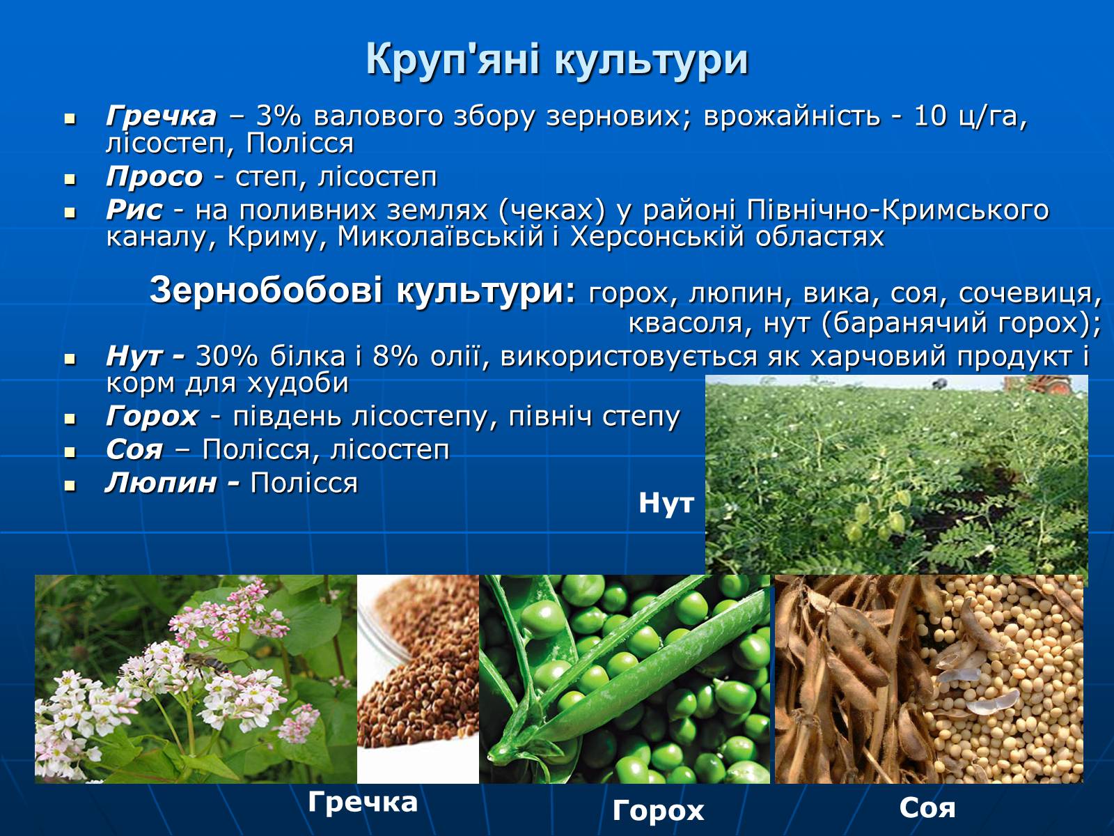 Презентація на тему «Сільське господарство» - Слайд #10 Презентація на тему «Сільське господарство» - Слайд #10