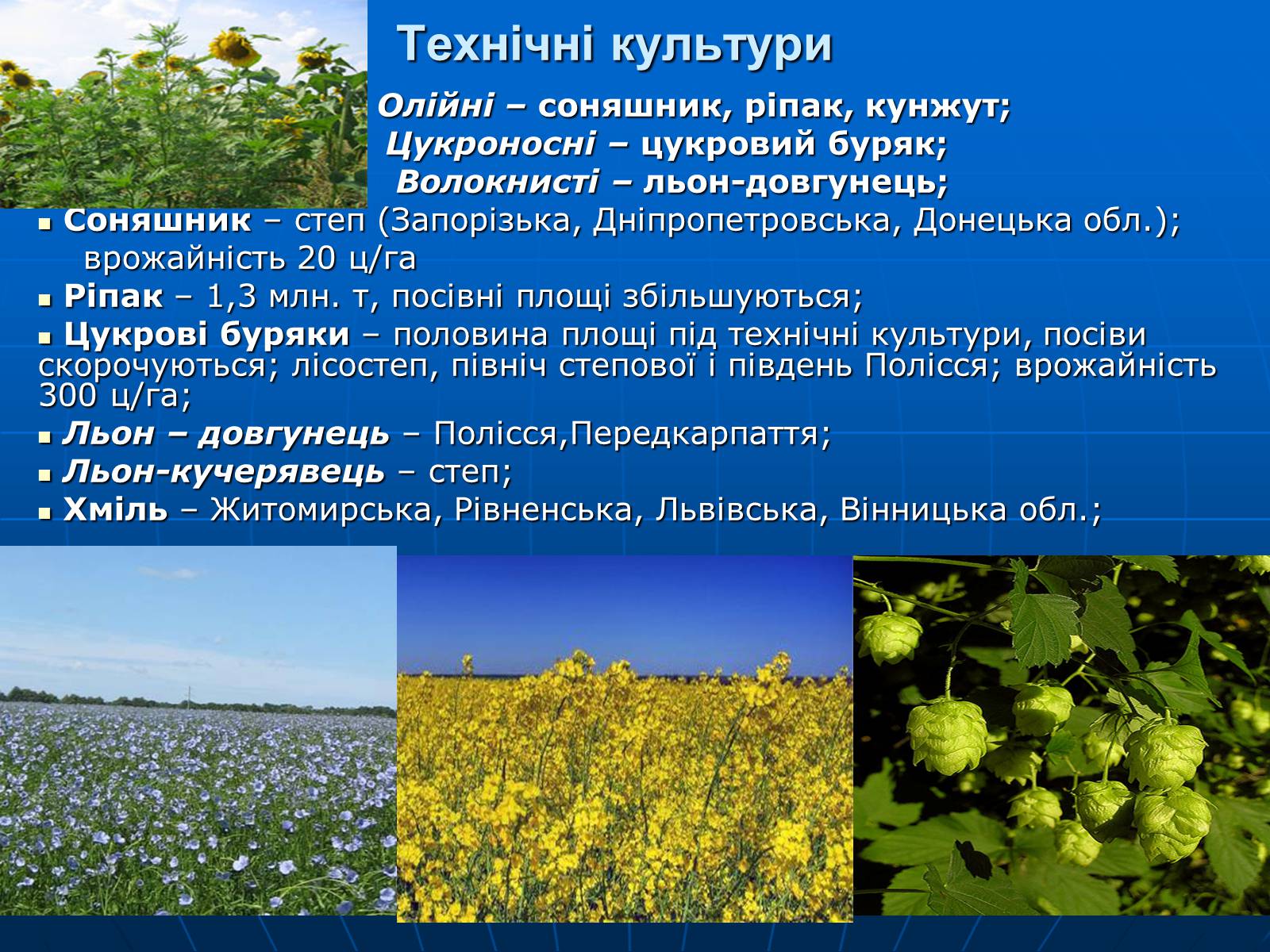 Презентація на тему «Сільське господарство» - Слайд #11 Презентація на тему «Сільське господарство» - Слайд #11