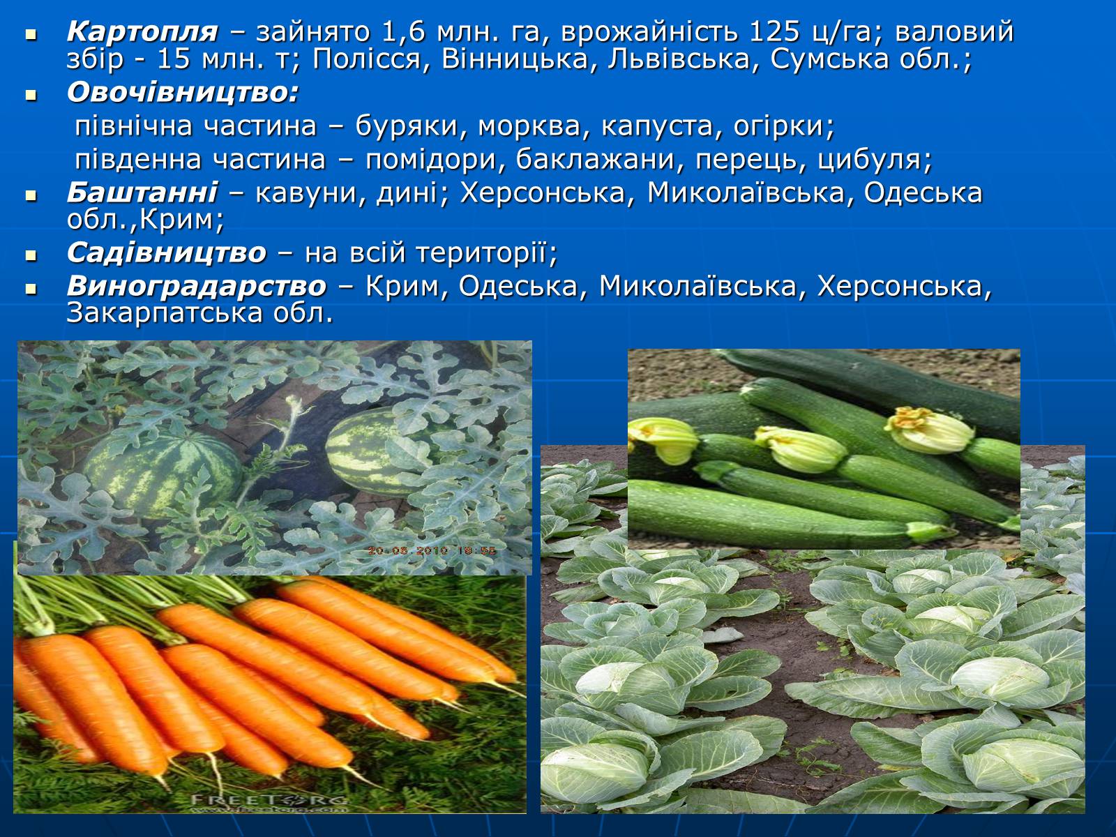 Презентація на тему «Сільське господарство» - Слайд #12 Презентація на тему «Сільське господарство» - Слайд #12