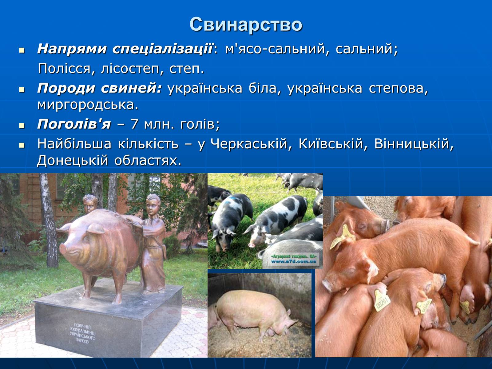 Презентація на тему «Сільське господарство» - Слайд #15 Презентація на тему «Сільське господарство» - Слайд #15