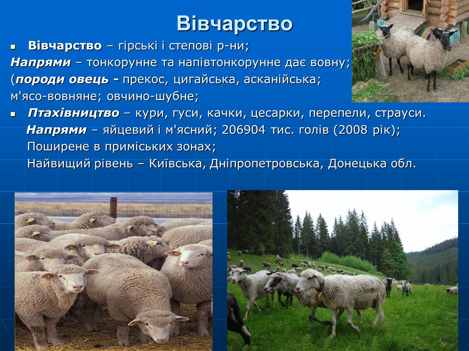 Презентація на тему «Сільське господарство» - Слайд #16 Презентація на тему «Сільське господарство» - Слайд #16