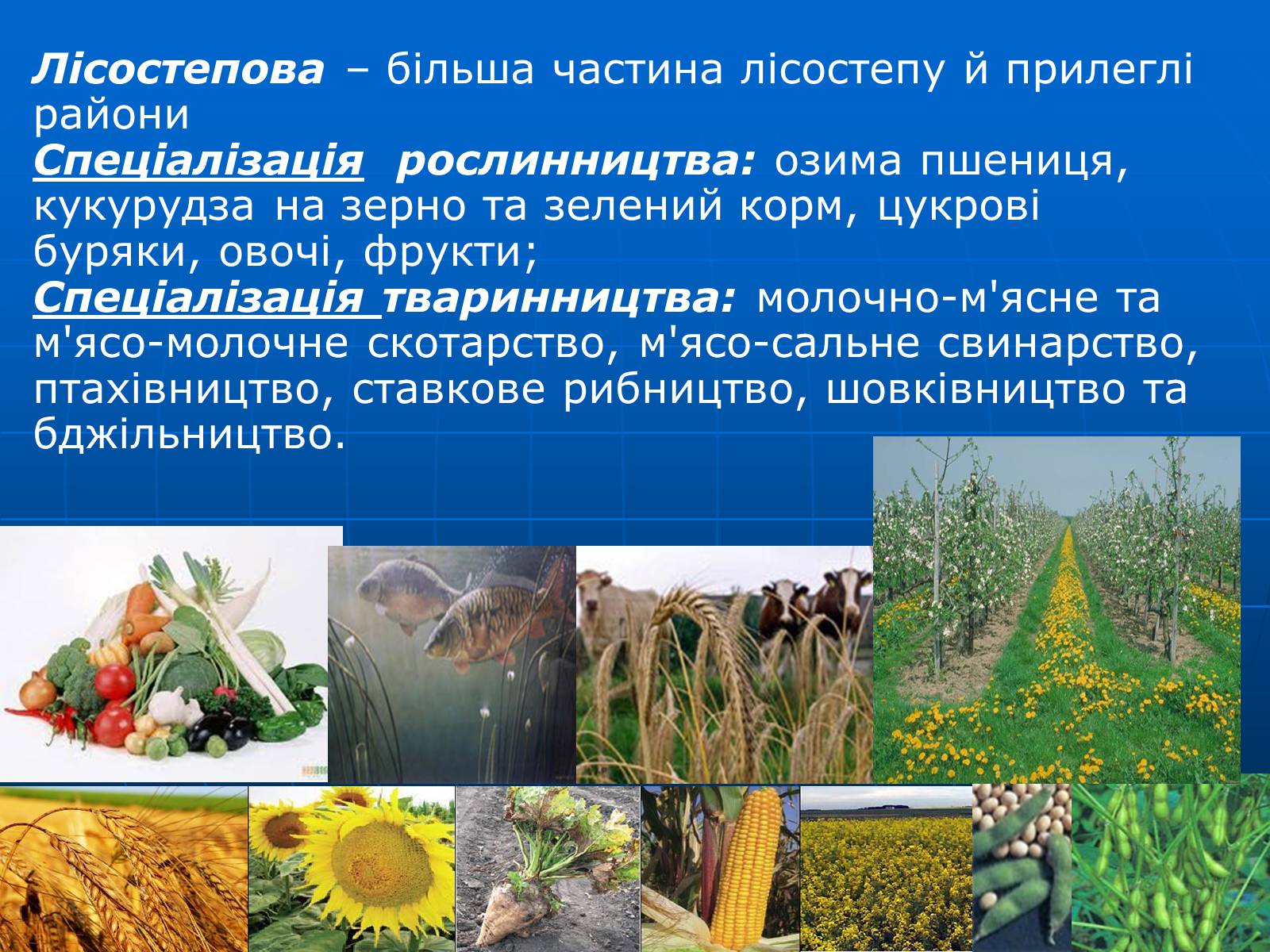 Презентація на тему «Сільське господарство» - Слайд #19 Презентація на тему «Сільське господарство» - Слайд #19