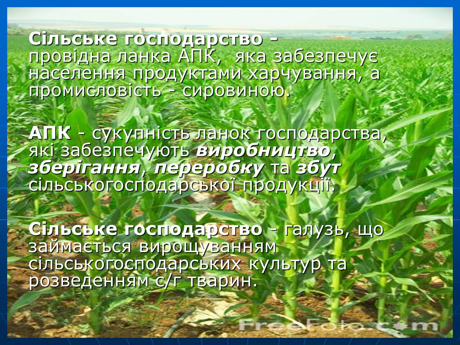 Презентація на тему «Сільське господарство» - Слайд #2 Презентація на тему «Сільське господарство» - Слайд #2
