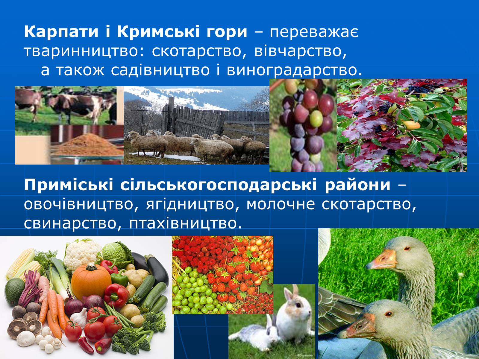 Презентація на тему «Сільське господарство» - Слайд #21 Презентація на тему «Сільське господарство» - Слайд #21