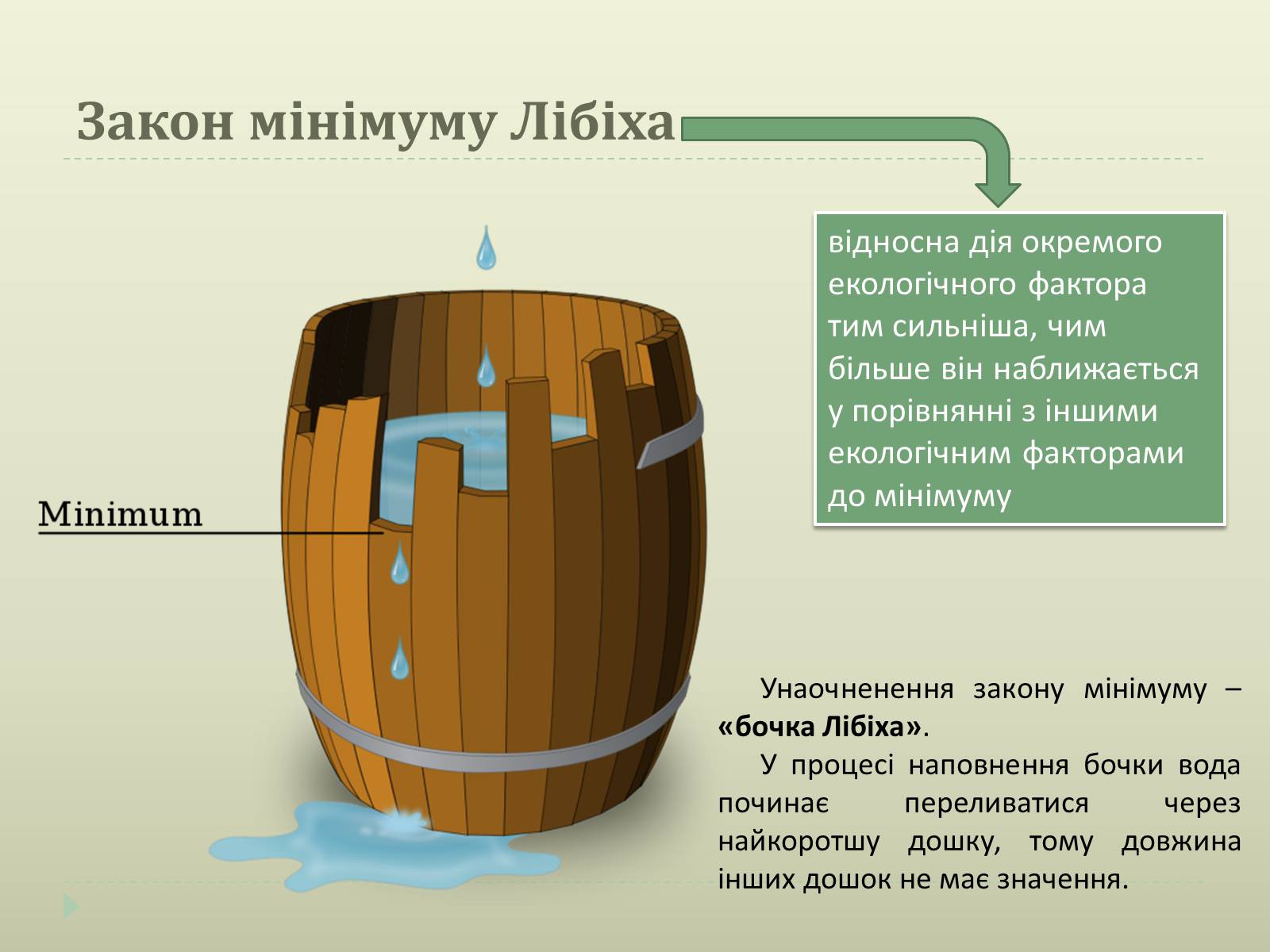 Презентація на тему «Екологічні чинники» (варіант 2) - Слайд #13 Презентація на тему «Екологічні чинники» (варіант 2) - Слайд #13