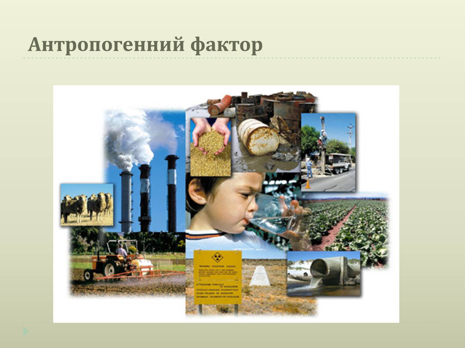Презентація на тему «Екологічні чинники» (варіант 2) - Слайд #15 Презентація на тему «Екологічні чинники» (варіант 2) - Слайд #15