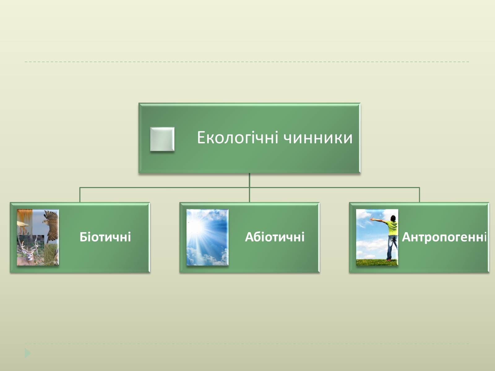 Презентація на тему «Екологічні чинники» (варіант 2) - Слайд #3 Презентація на тему «Екологічні чинники» (варіант 2) - Слайд #3