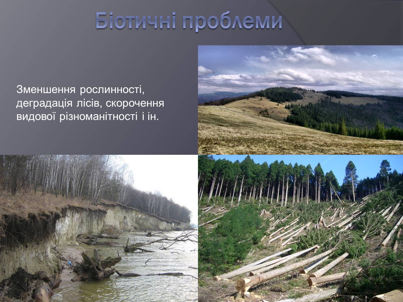 Презентація на тему «Екологічні проблеми людства» (варіант 3) - Слайд #10 Презентація на тему «Екологічні проблеми людства» (варіант 3) - Слайд #10