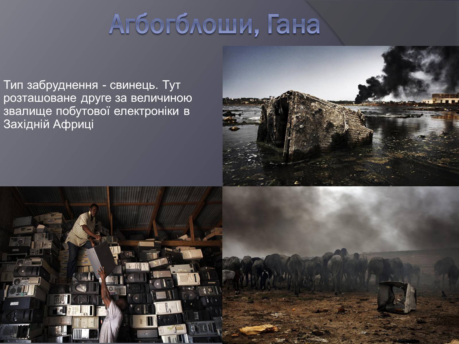Презентація на тему «Екологічні проблеми людства» (варіант 3) - Слайд #13 Презентація на тему «Екологічні проблеми людства» (варіант 3) - Слайд #13