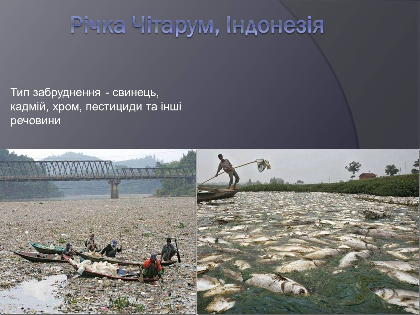 Презентація на тему «Екологічні проблеми людства» (варіант 3) - Слайд #15 Презентація на тему «Екологічні проблеми людства» (варіант 3) - Слайд #15