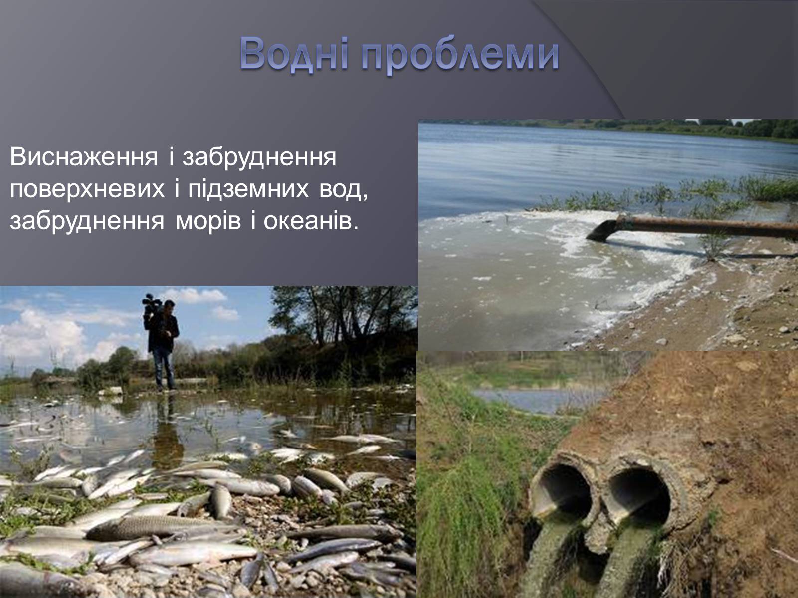 Презентація на тему «Екологічні проблеми людства» (варіант 3) - Слайд #6 Презентація на тему «Екологічні проблеми людства» (варіант 3) - Слайд #6