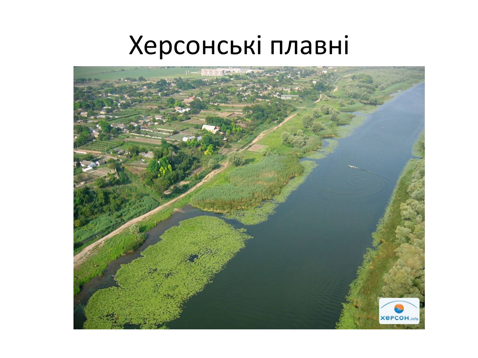 Презентація на тему «Херсонська область» - Слайд #11 Презентація на тему «Херсонська область» - Слайд #11