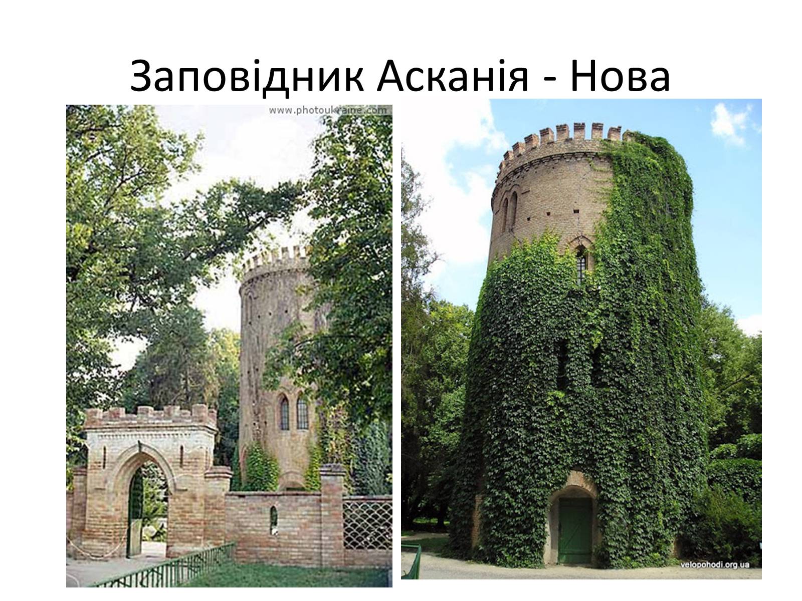 Презентація на тему «Херсонська область» - Слайд #15 Презентація на тему «Херсонська область» - Слайд #15