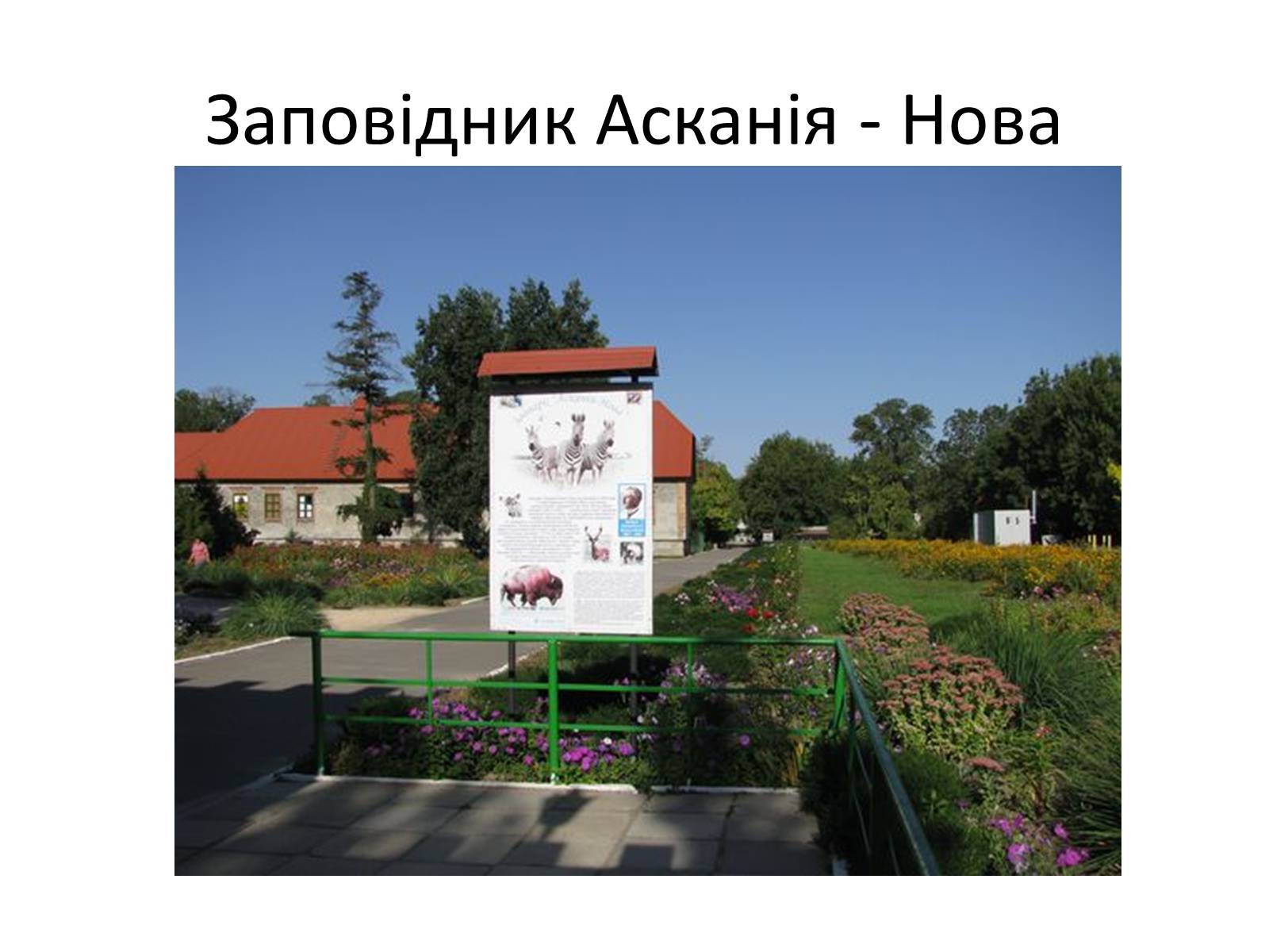 Презентація на тему «Херсонська область» - Слайд #16 Презентація на тему «Херсонська область» - Слайд #16